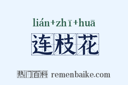 连枝花是什么意思的图片